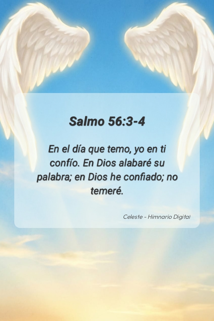 Reflexión sobre Salmo 56:3-4