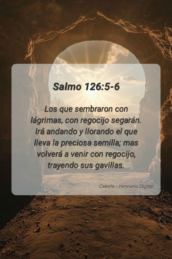 Reflexión sobre Salmo 126:5-6