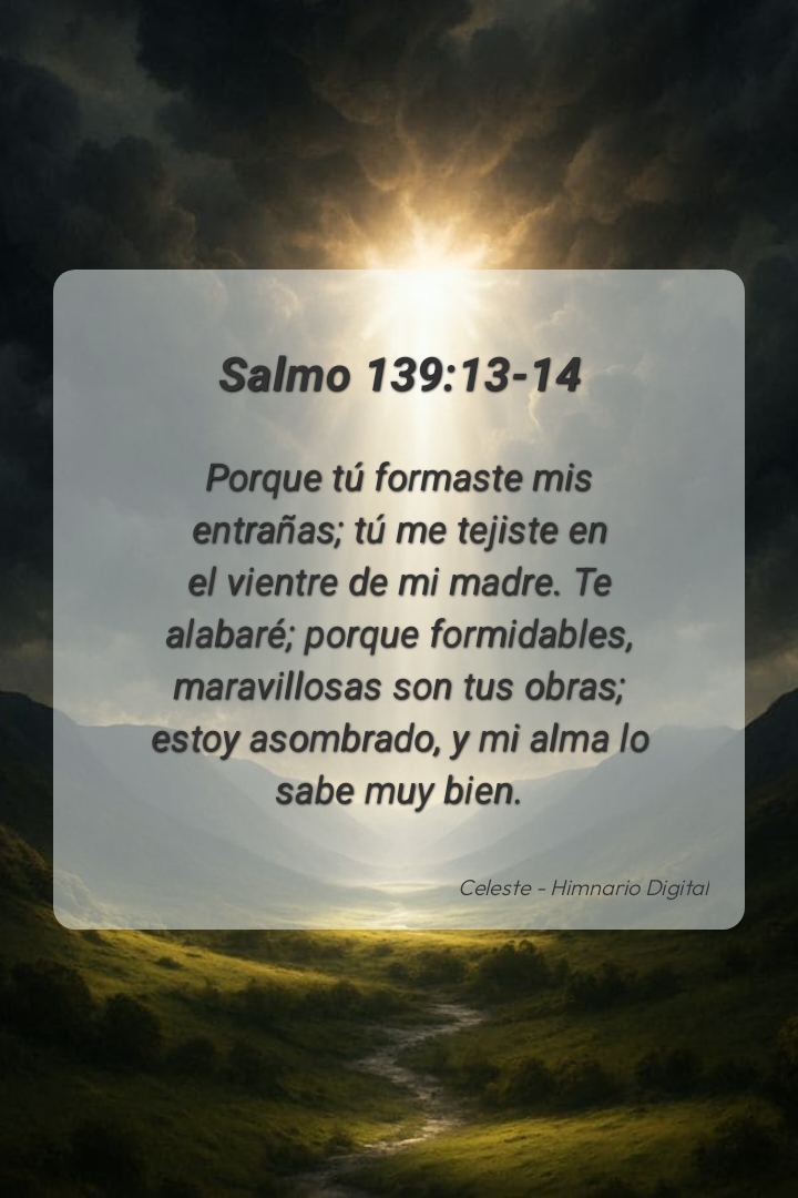 Reflexión sobre Salmo 139:13-14